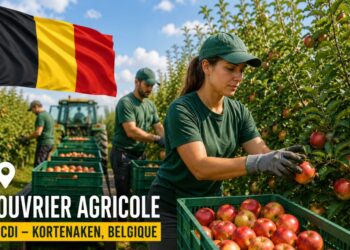 Ouvrier Agricole en Belgique | CDI à Kortenaken – Récolte de Pommes et Poires