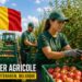 Ouvrier Agricole en Belgique | CDI à Kortenaken – Récolte de Pommes et Poires