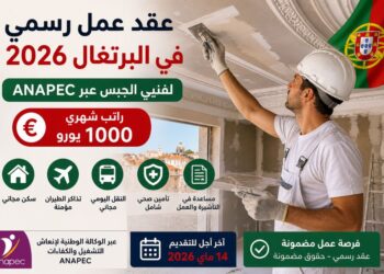 عقد عمل في البرتغال 2026 لفنيي الجبس عبر ANAPEC براتب 1000 يورو
