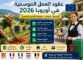 عقود العمل الموسمية في أوروبا 2026: الشروط، الرواتب وطريقة التقديم