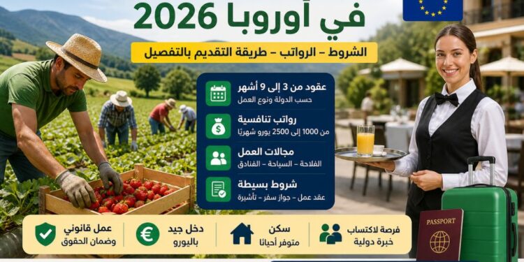 عقود العمل الموسمية في أوروبا 2026: الشروط، الرواتب وطريقة التقديم
