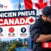 Technicien en pneus au Canada 2026 : emploi permanent à 37 $/h à Hamilton