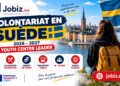 Volontariat en Suède 2026-2027 : 9 mois à Stockholm avec logement, allocations et transport